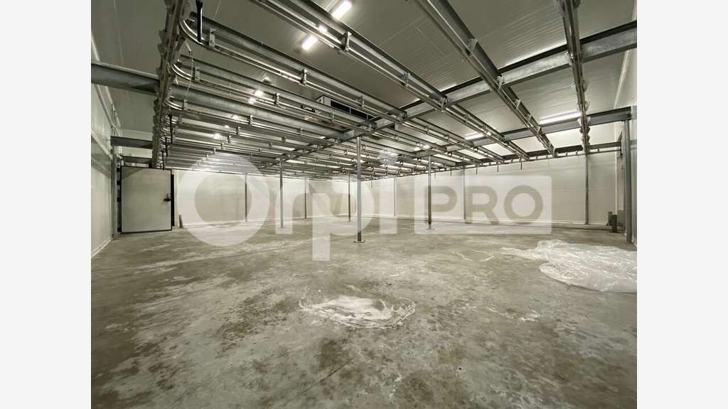 Loue bâtiment de 1040m² Saint Symphorien d'Ozon