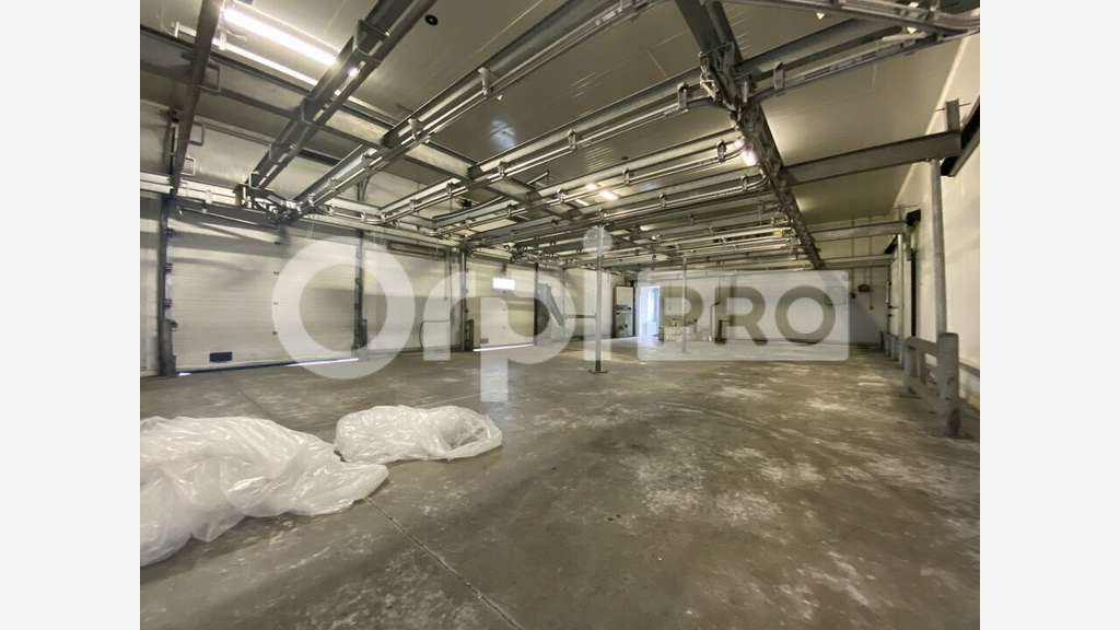 Loue bâtiment de 1040m² Saint Symphorien d'Ozon