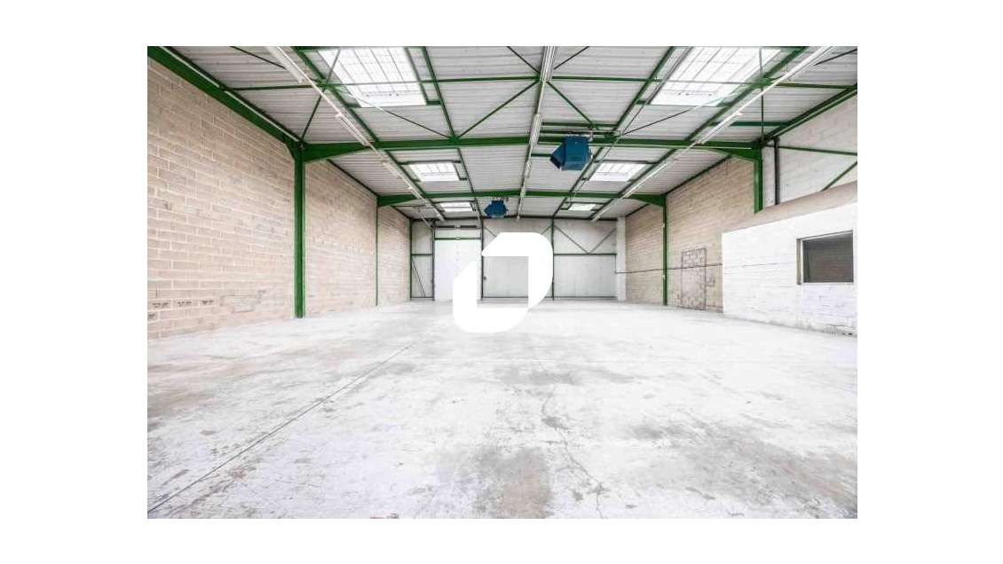 Découvrez une opportunité exceptionnelle avec IMMP