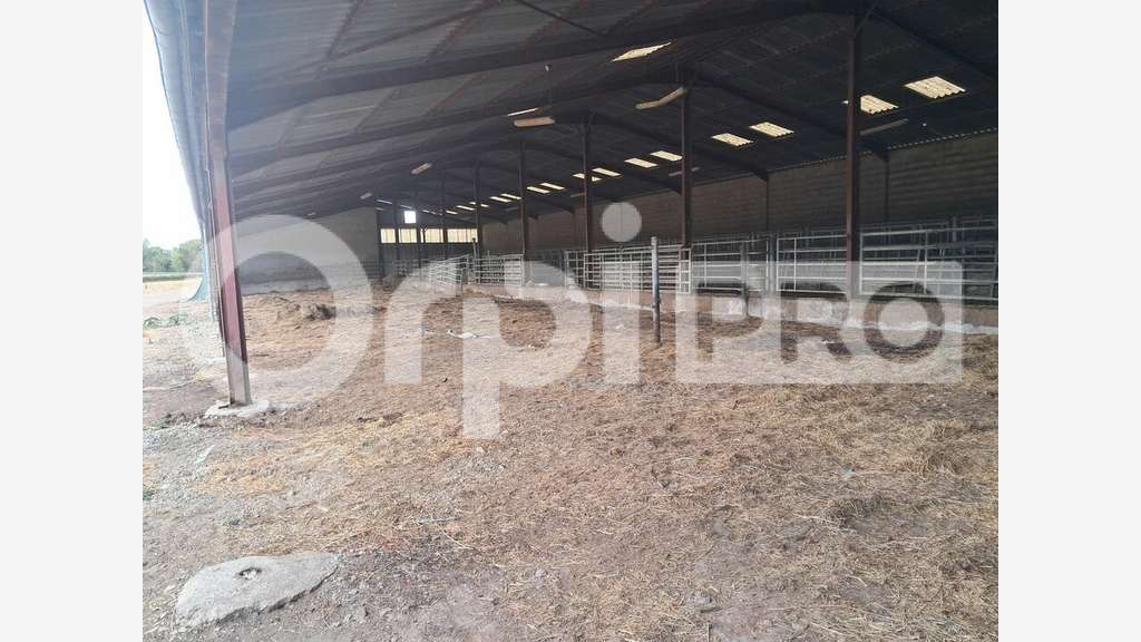 A louer local stockage ou expo 1000m² à St Victor
