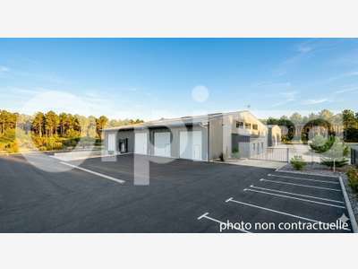Entrepôt 220m² à louer à Saint-Vincent-de-Tyrosse