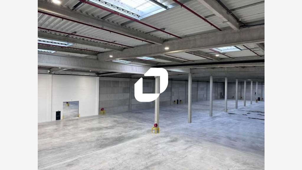 A louer Local d'activité 12000m² Salome