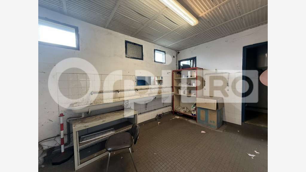Local industriel 560m² à louer ZI Sandouville A29