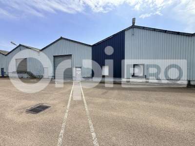 Location Locaux d'activités - Entrepôts à Sandouville