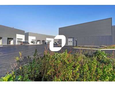 Location Locaux d'activités - Entrepôts à Savigny-le-Temple