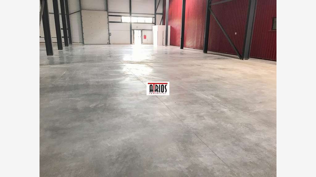 Local d'activité de 1560m² à louer en ZA à Signes