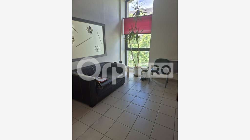 Local professionnel