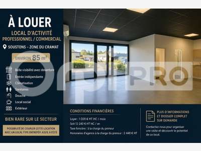 LOCAL PROFESSIONNEL / COMMERCIAL  SOUSTONS