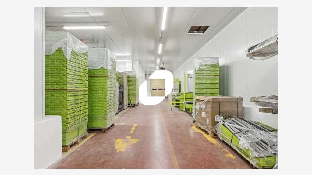 A louer Local d'activité 2517m² Thiais