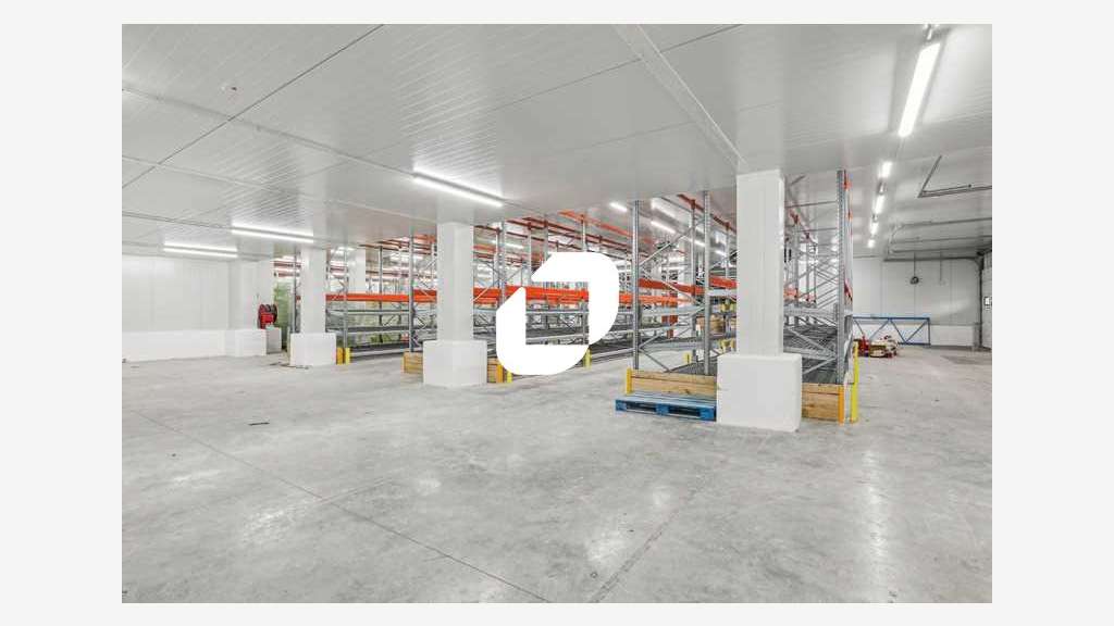 A louer Local d'activité 2517m² Thiais