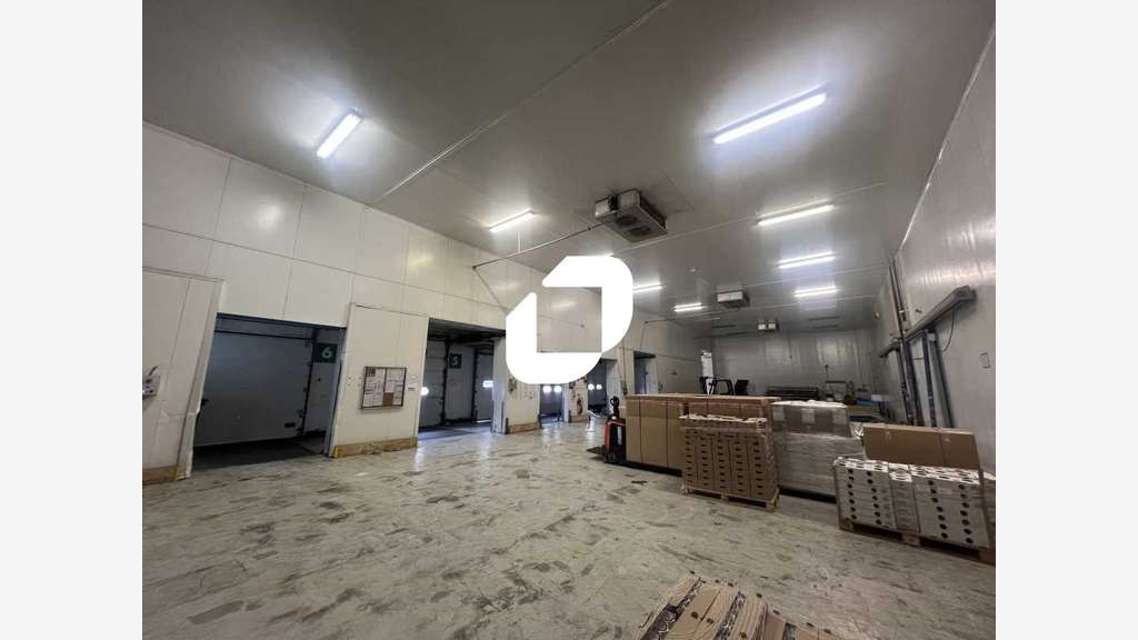 A louer Local d'activité 7005m² Thiais