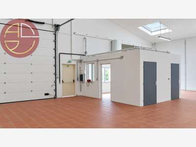 TOULOUSE SUD OUEST - ZI DE THIBAUD - ENTREPOT A LO
