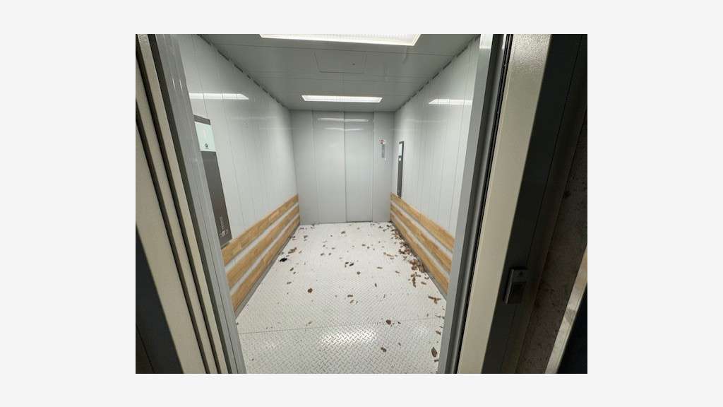 A louer entrepôt neuf 262m² Sophia Antipolis