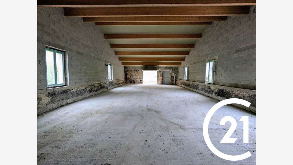 Immobilier Professionnel à louer Valence