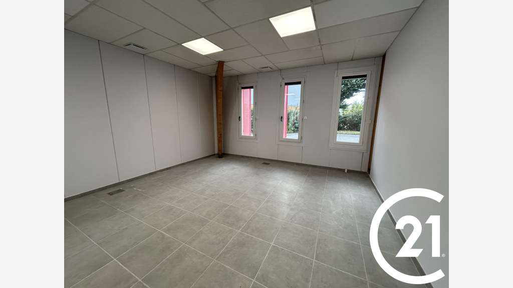 Immobilier Professionnel à louer Valence
