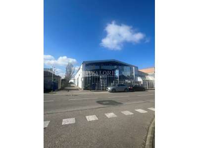 Location Locaux d'activités - Entrepôts à Vaulx-en-Velin