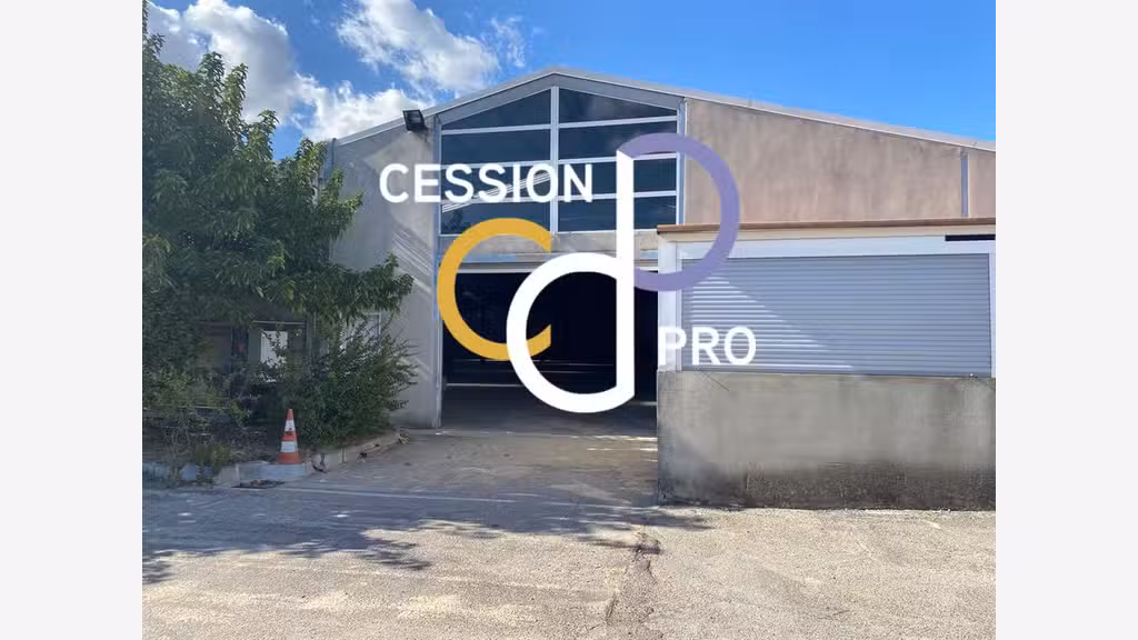 ENTREPÔT OU LOCAUX D'ACTIVITÉ DE 2 326 M² À LOUER