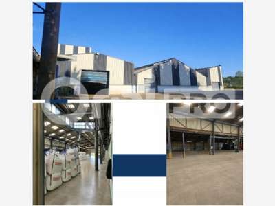 A louer locaux professionnels 4000m² en zrr à Vaux
