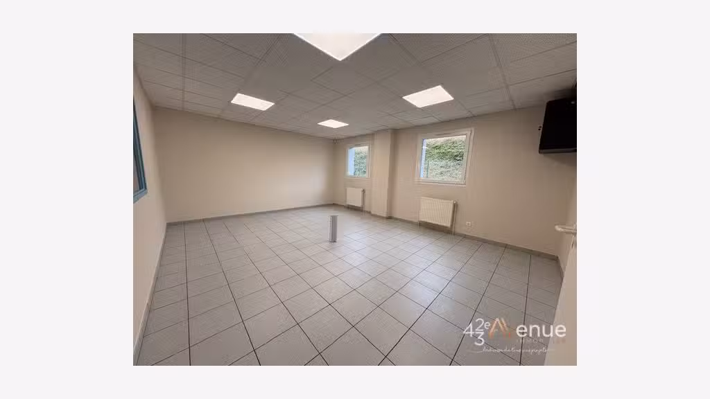 A louer local d'activité 590m² ZI Veauche