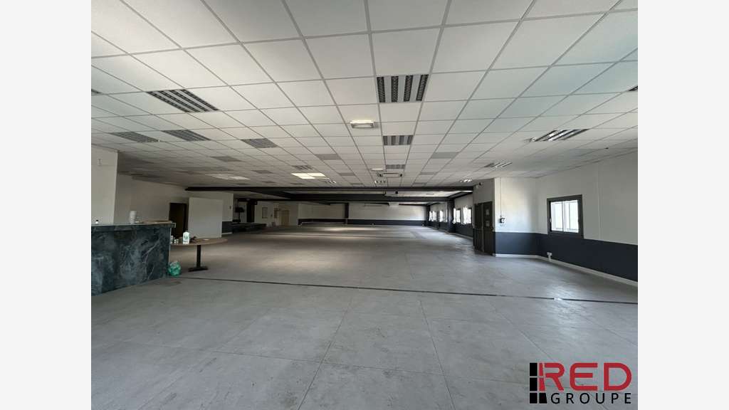 LOCAL PROFESSIONNEL 704 M2 A LOUER