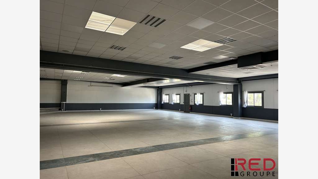 LOCAL PROFESSIONNEL 704 M2 A LOUER