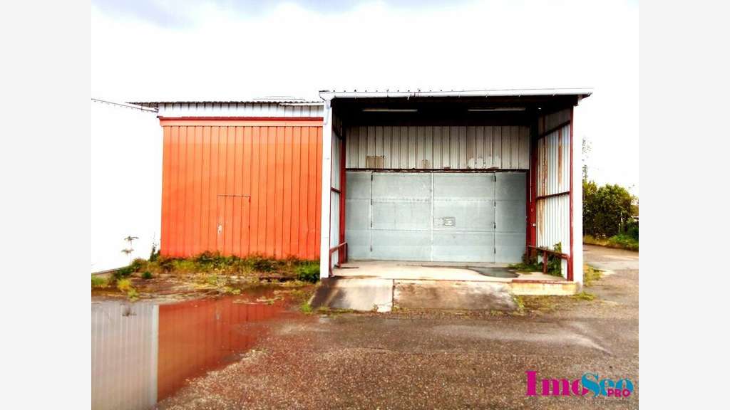 Entrepôt 1140m² à louer à Villenave-d'Ornon