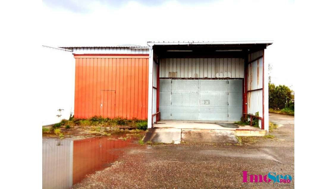 Entrepôt 1140m² à louer à Villenave-d'Ornon