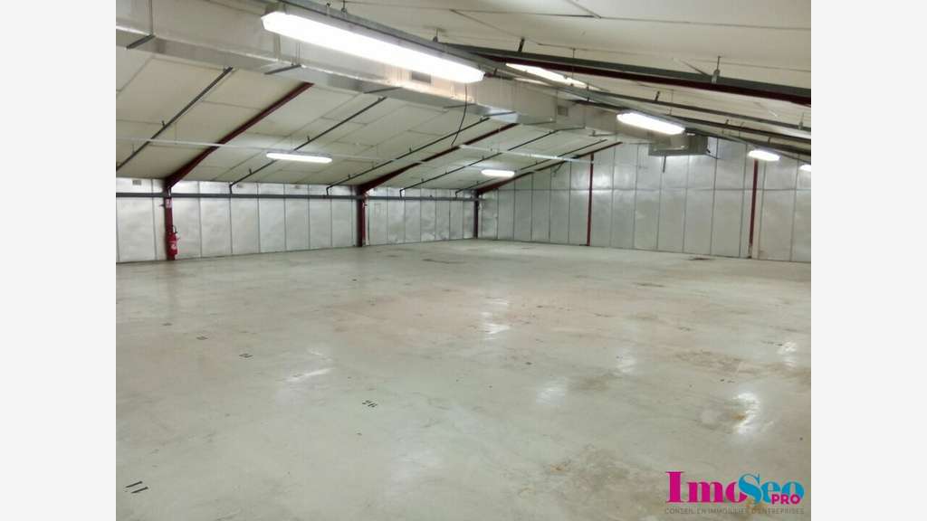 Entrepôt 1140m² à louer à Villenave-d'Ornon