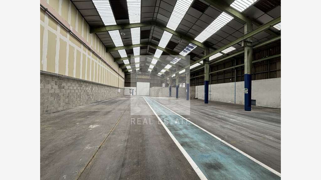 Local d'activité 1210m² à louer à Villeurbanne