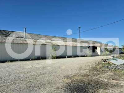 Loue entrepôt bureaux 1276m² à Vitry-le-François