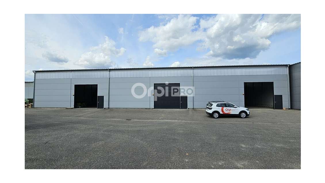 A louer entrepôt 880m² Volgelsheim zone d'activité