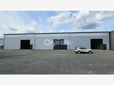 A louer entrepôt 880m² Volgelsheim zone d'activité