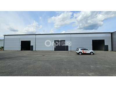 Location Locaux d'activités - Entrepôts à Volgelsheim