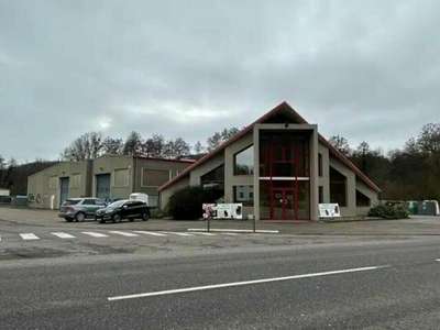 Location Locaux d'activités - Entrepôts à Hombourg-Budange