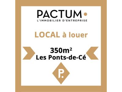 Location Locaux d'activités - Entrepôts aux Ponts-de-Cé