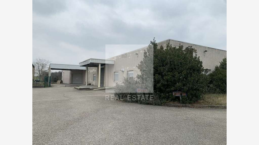 A louer local d'activités 1390m² ZI Lyon Sud Est