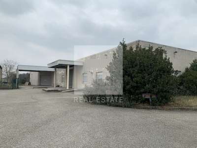 A louer local d'activités 1390m² ZI Lyon Sud Est