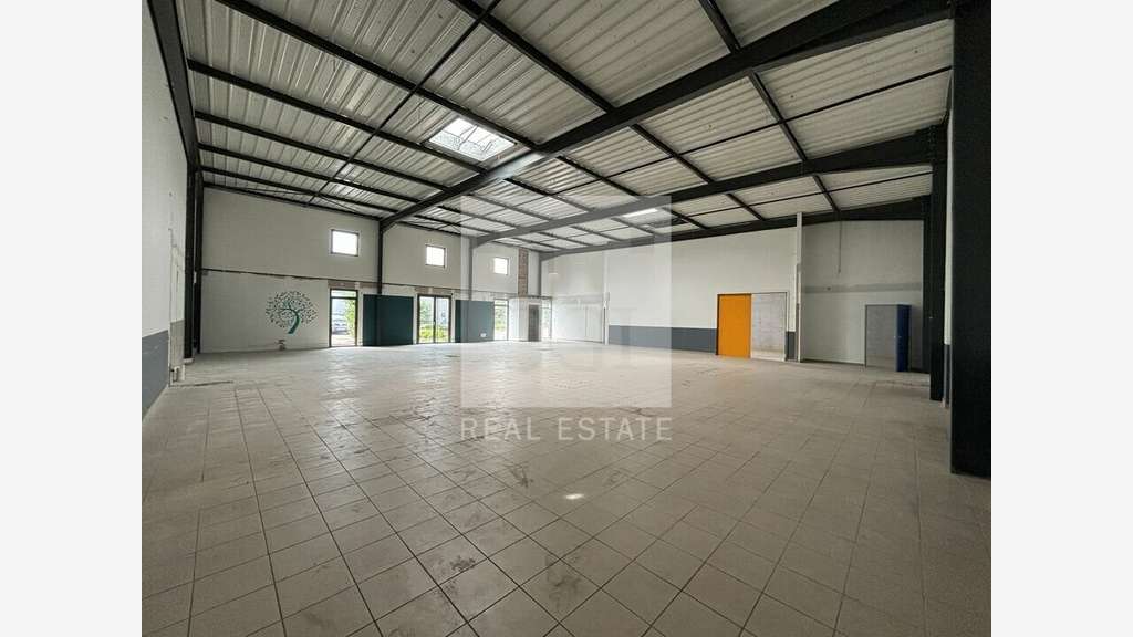 A louer local d'activité 364m² à Lyon 7e