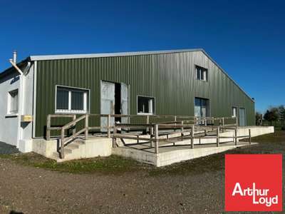 A louer local 1260m² ZA Sainte-Gemme-la-Plaine