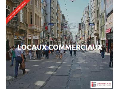 Location Locaux commerciaux - Boutiques à Pont-Péan