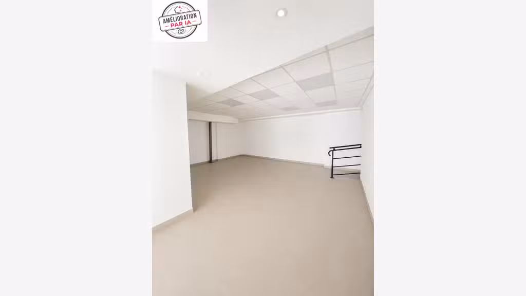 local commercial ou bureaux