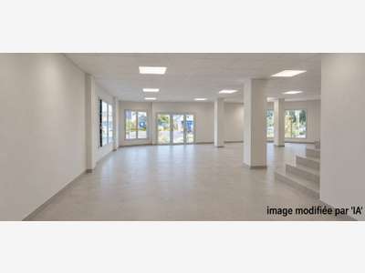 LOCAL COMMERCIAL A LOUER ANGERS