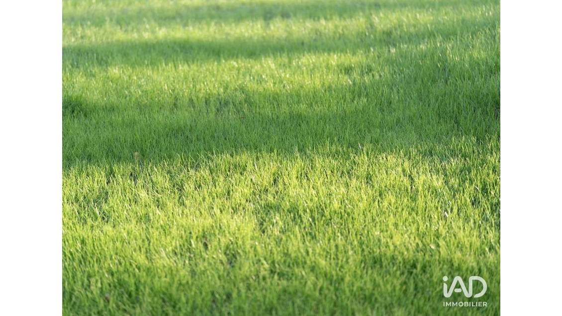 Local commercial à Beaucouzé