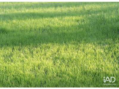 Location Locaux commerciaux - Boutiques à Beaucouzé