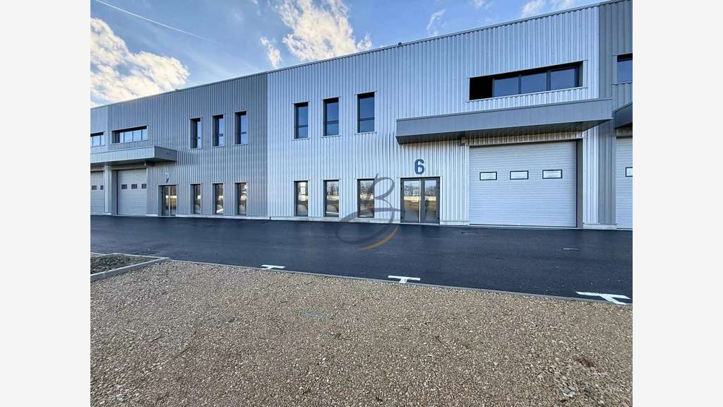 A louer cellule d'activités 319m² Bourgoin-Jallieu