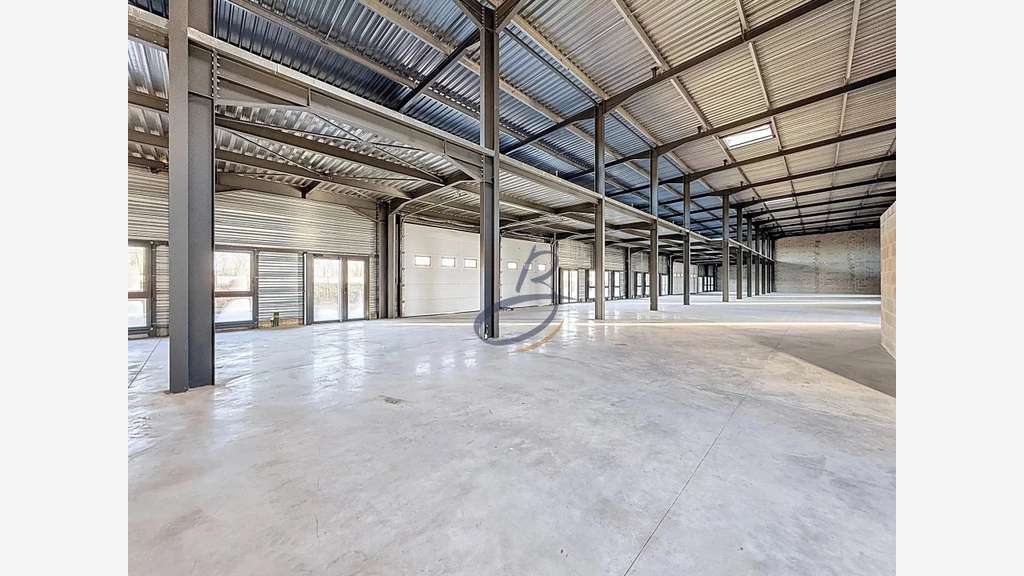 A louer cellule d'activités 319m² Bourgoin-Jallieu