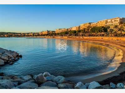 A louer local commercial de 50m² au cœur de Cannes