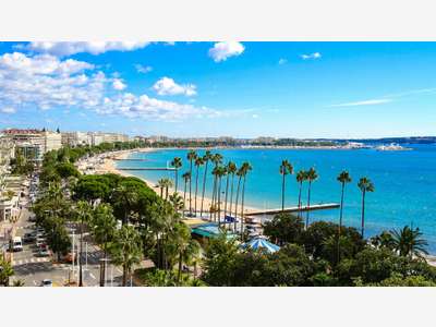 A louer local commercial 18m² au coeur de Cannes