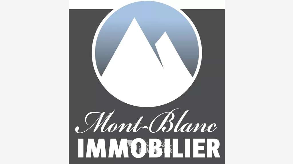 A louer local professionnel 20m² à Chamonix 