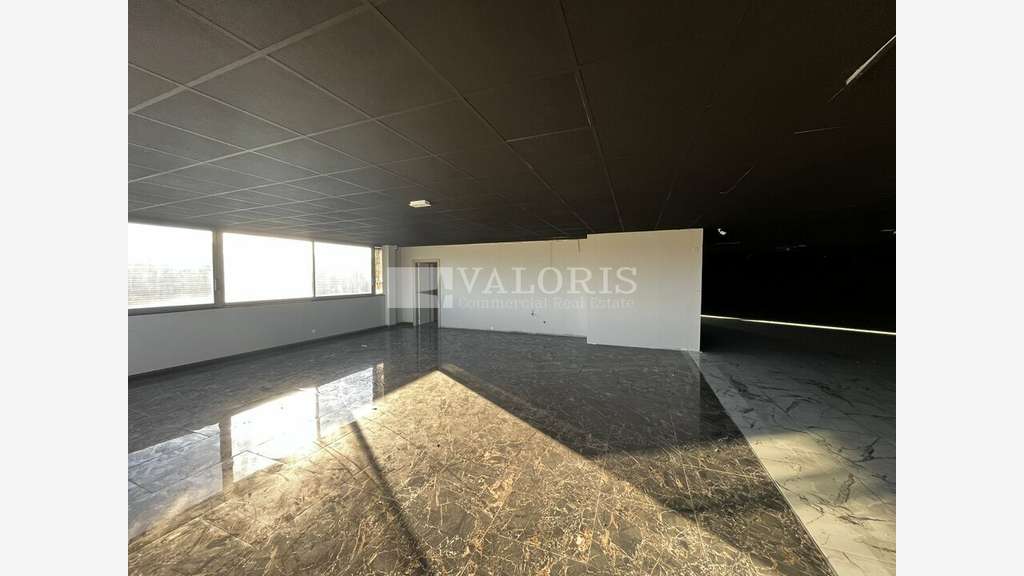 A louer local commercial 1545m² Crêches-sur-Saône